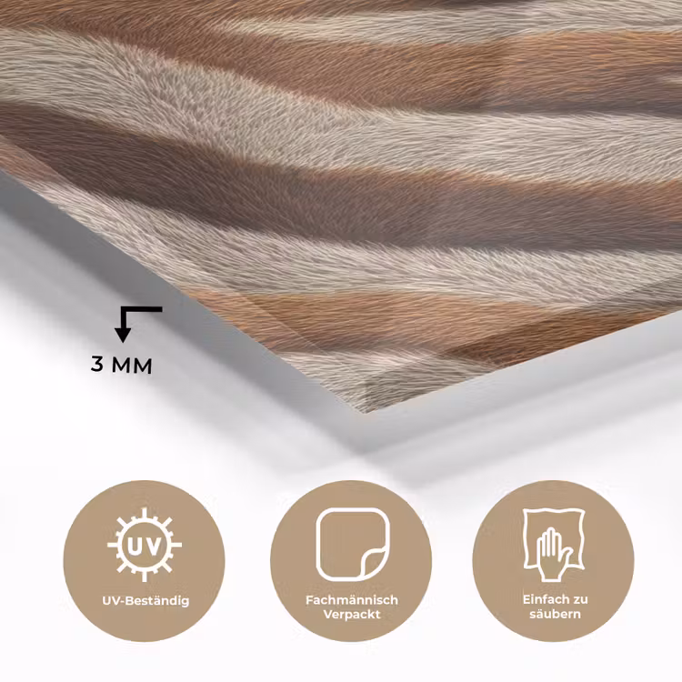 Zebra - Bruin - Patroon plexiglas 5mm klein 11 -wsfeer2_DE