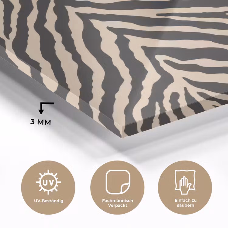 Zebra - Klassiek - Zwart plexiglas 5mm klein 11 -wsfeer2_DE