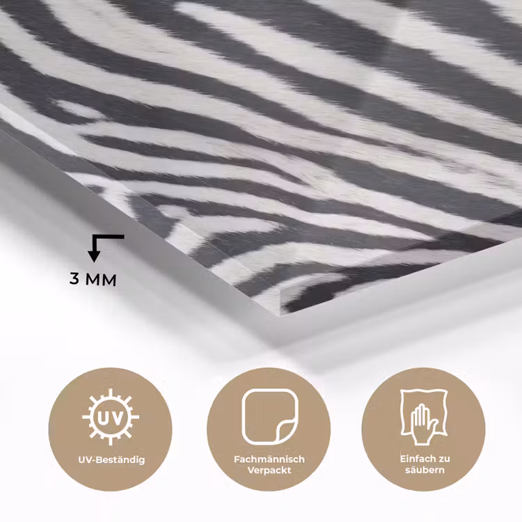 Zebra - Vacht - Klassiek - Zwart - Wit plexiglas 5mm klein -wsfeer2_DE