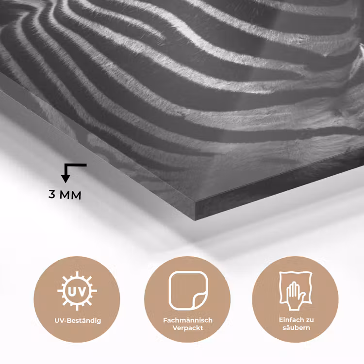 Zebra - Zwart - Wit - Portret - Dieren plexiglas 5mm klein -wsfeer2_DE