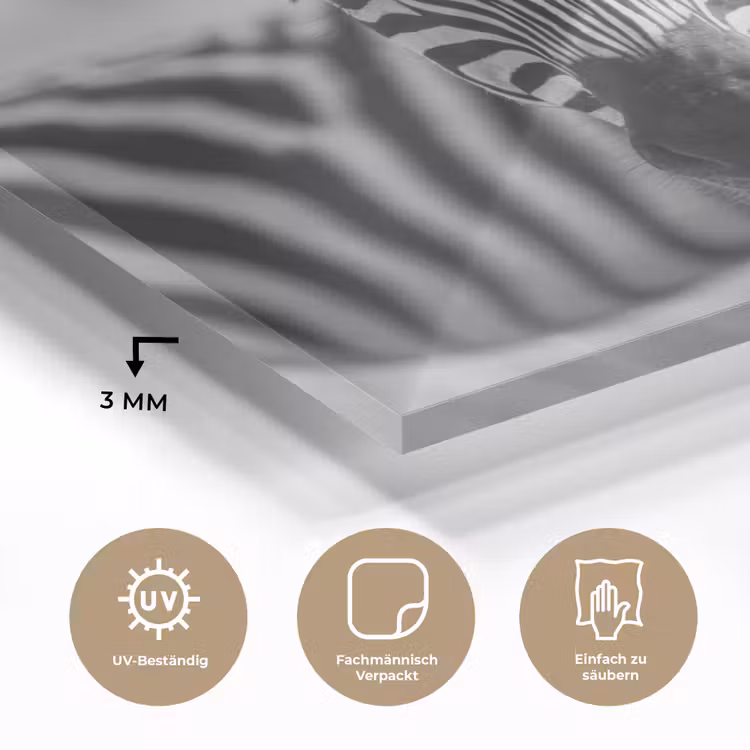 Zebra's - Zwart - Wit plexiglas 5mm klein -wsfeer2_DE