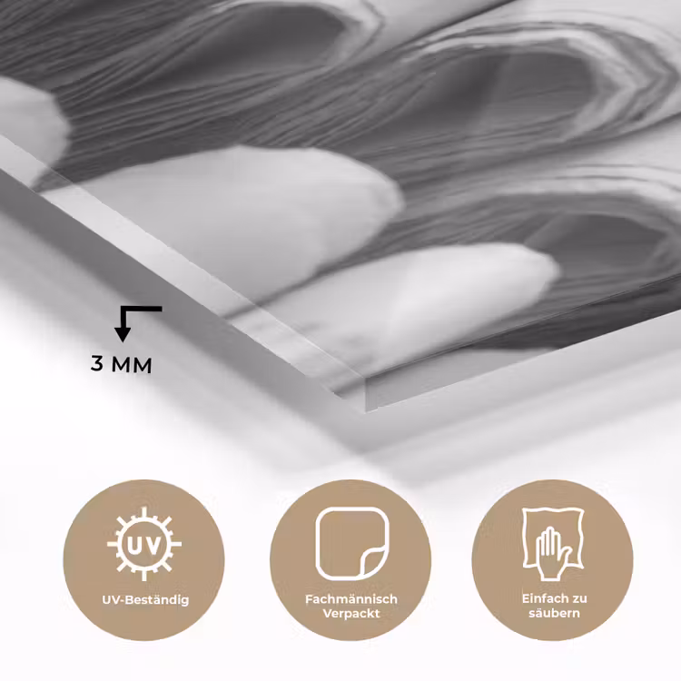 Krant - Stapel - Nieuws - Zwart-wit - Media plexiglas 5mm klein -wsfeer2_DE