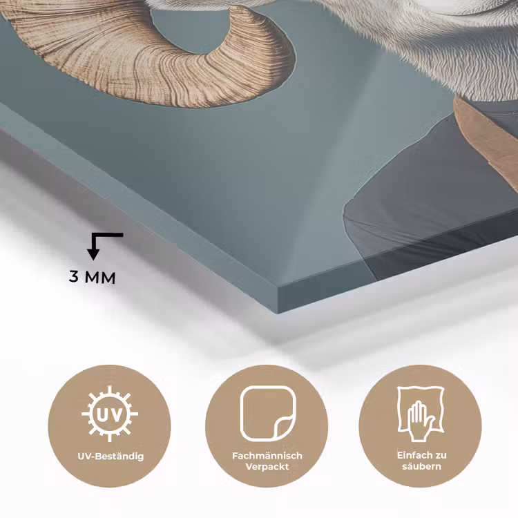 Geit - Hoorns - Kokskleding plexiglas 5mm klein -wsfeer2_DE