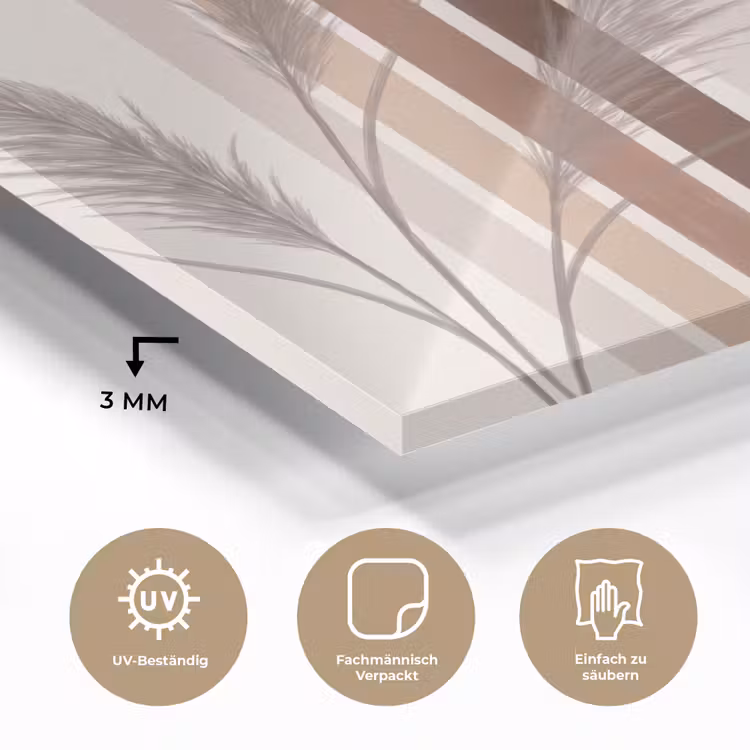 Abstract - Bogen - Plant - Boho - Beige plexiglas 5mm klein -wsfeer2_DE