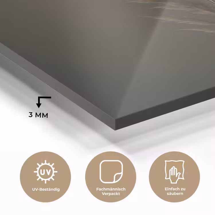 Tak - Pluimgras - Donkerbruin plexiglas 5mm klein -wsfeer2_DE