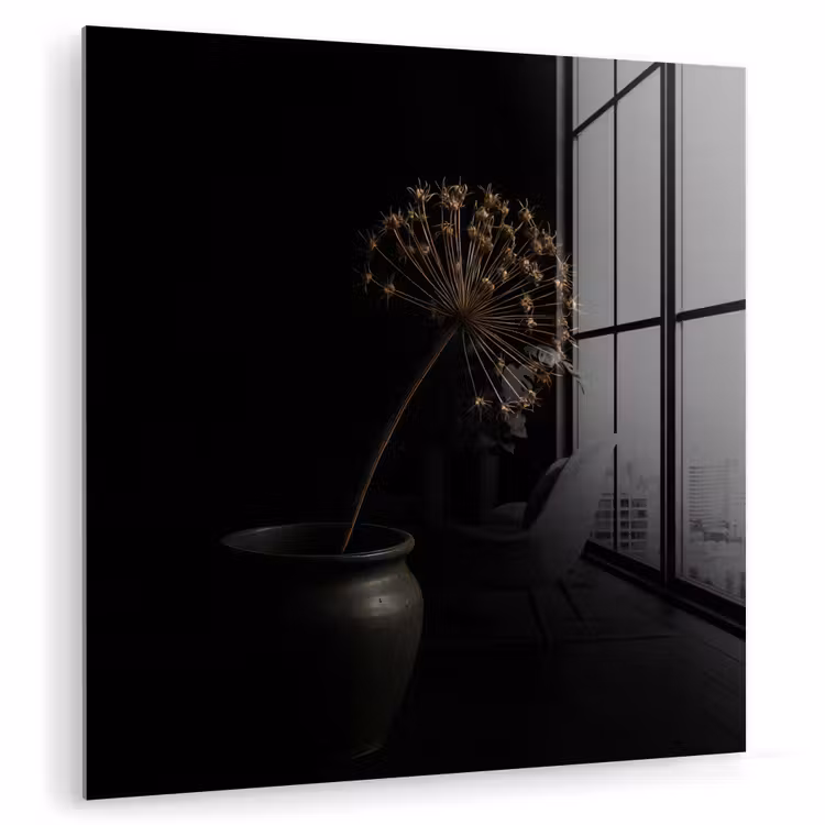 Bol - Gedroogd - Vaas - Zwart plexiglas 5mm klein -zzzproduct_nieuw