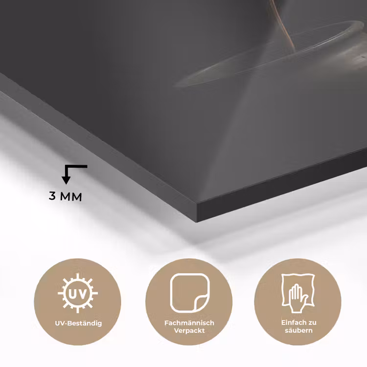 Bol - Gedroogd - Vaas - Zwart plexiglas 5mm klein -wsfeer2_DE