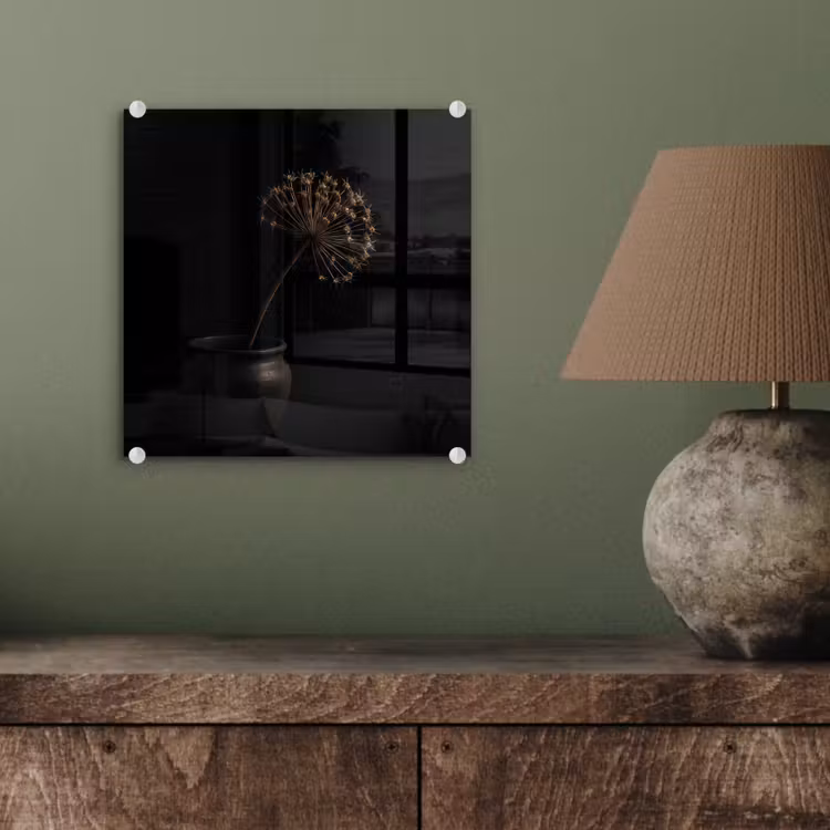 Bol - Gedroogd - Vaas - Zwart plexiglas 5mm klein -sfeer3