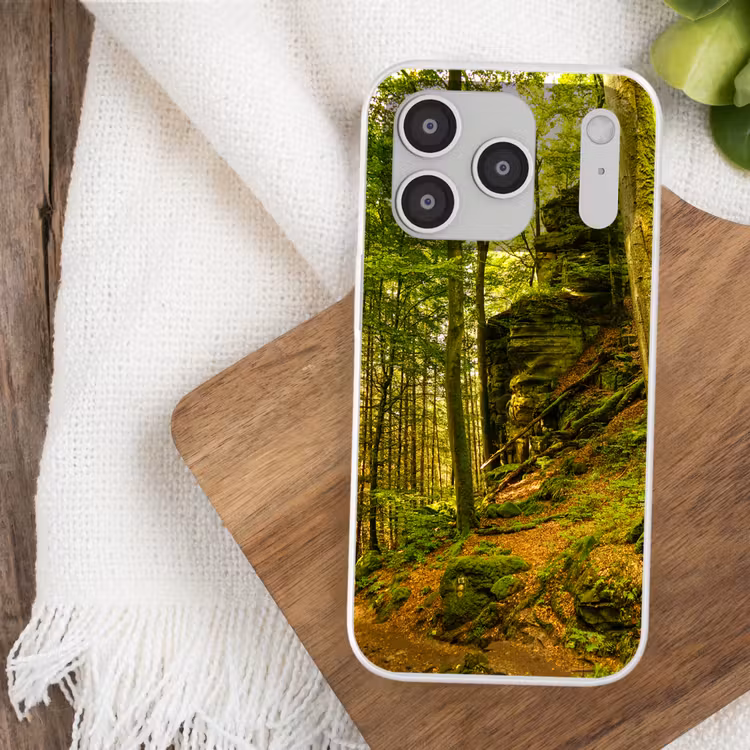 Bomen - Steen - Bos - Natuur - Planten Telefoonhoesje iPhone 17 Pro klein -sfeer1