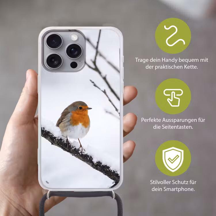 Roodborstje - Tak - Sneeuw - Winter - Levendig Hoesje iPhone 16 Pro Max met koord klein -sfeer2_DE