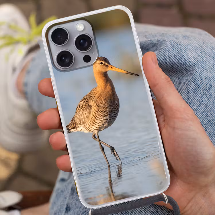 Vogel - Steltloper - Water - Natuur Hoesje iPhone 16 Pro Max met koord klein -sfeer3