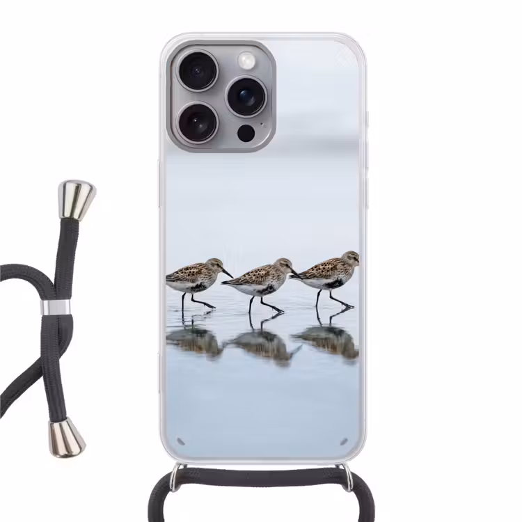 Vogels - Water - Grijs Hoesje iPhone 16 Pro Max met koord klein -3d