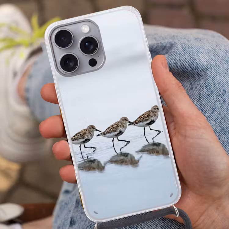 Vogels - Water - Grijs Hoesje iPhone 16 Pro Max met koord klein -sfeer3