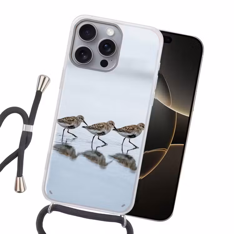 Vogels - Water - Grijs Hoesje iPhone 16 Pro Max met koord klein -sfeer1
