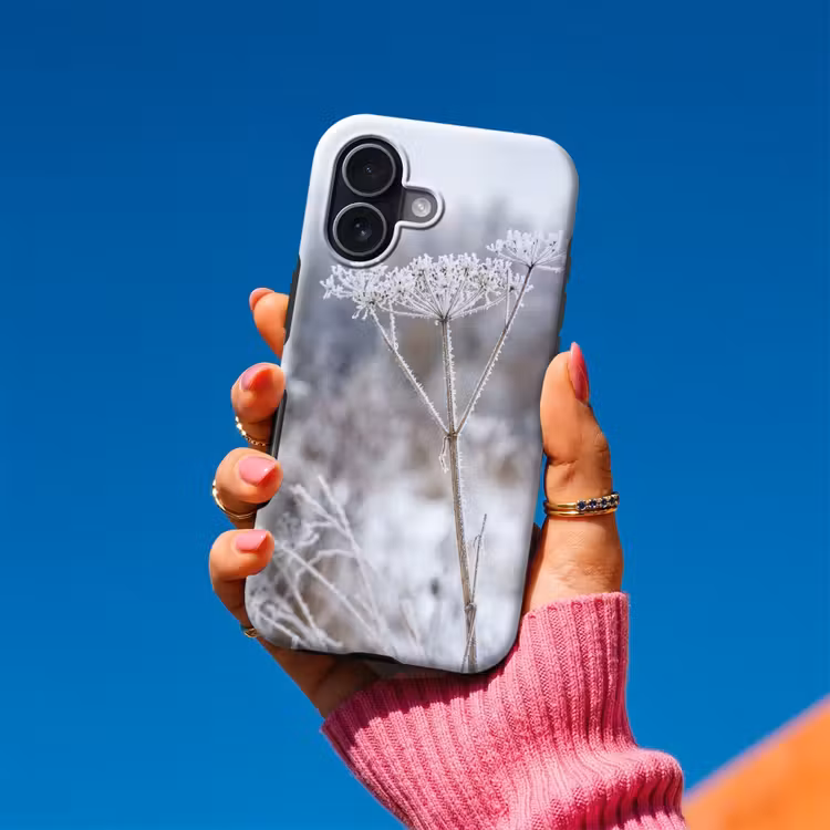 Schermbloem - Rijp - Kristallen - Winter - Delicaat Toughcase MagSafe Apple iPhone 17 klein -Sfeer1V
