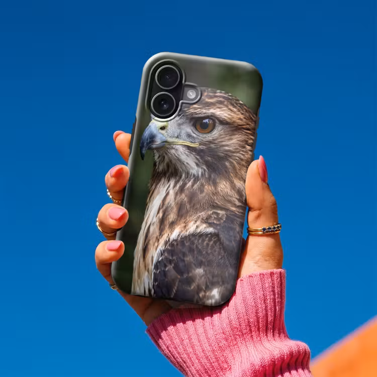 Buizerd - Roofvogel - Natuur - Bruin Toughcase MagSafe Apple iPhone 17 klein -Sfeer1V