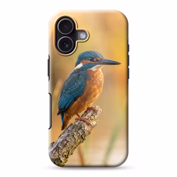 IJsvogel - Tak - Water - Kleurrijk - Levendig Toughcase MagSafe Apple iPhone 17 klein -3d