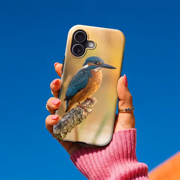 IJsvogel - Tak - Water - Kleurrijk - Levendig Toughcase MagSafe Apple iPhone 17 klein -Sfeer1V