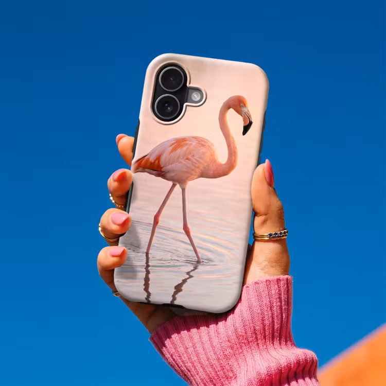 Flamingo - Water - Roze Toughcase MagSafe Apple iPhone 17 klein -Sfeer1V