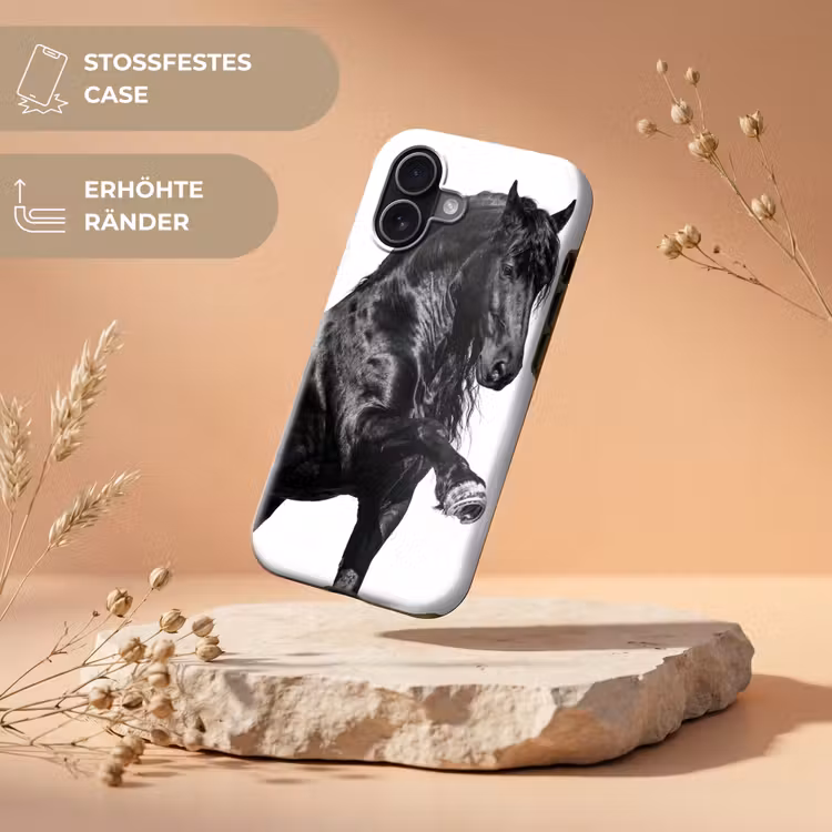 Fries - Hengst - Modern Toughcase MagSafe Apple iPhone 17 klein -USP_RandenV_DE