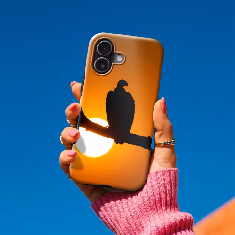 Gier - Tak - Zon - Oranje Toughcase MagSafe Apple iPhone 17 klein -Sfeer1V