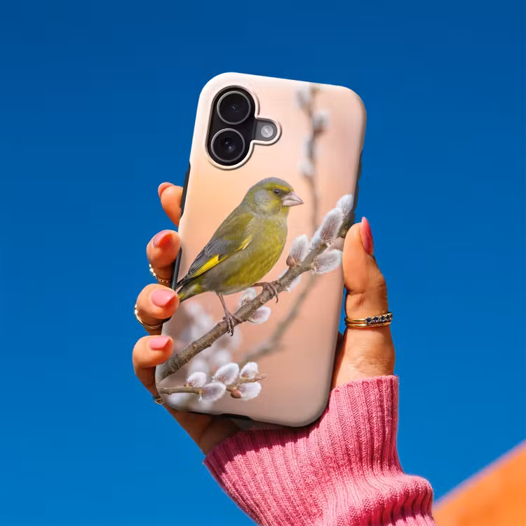 Groenling - Katjes - Lente - Natuur - Zacht Toughcase MagSafe Apple iPhone 17 klein -Sfeer1V