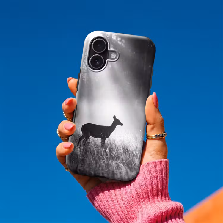 Hert - Bos - Zonnestralen - Zwart-wit - Natuur Toughcase MagSafe Apple iPhone 17 klein -Sfeer1V