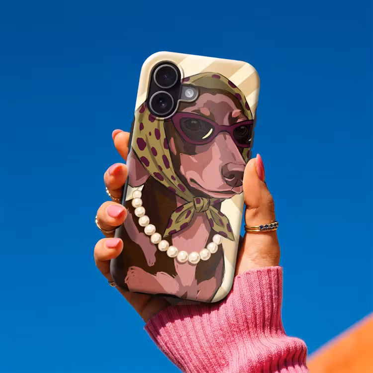 Hond - Zonnebril - Hoofddoek - Dieren - Modern Toughcase MagSafe Apple iPhone 17 klein -Sfeer1V