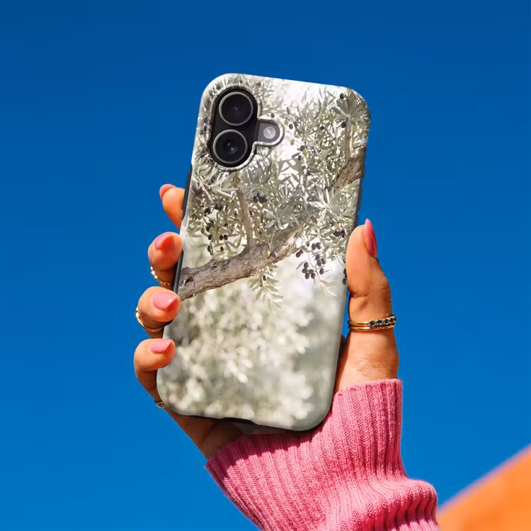 Handyhülle Toughcase - Olivenbaum – Zweig – grün - Olijfboom - tak - groen Toughcase MagSafe Apple iPhone 17 klein