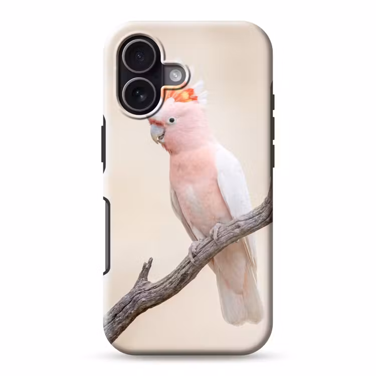 Papagaai - Tak - Roze Toughcase MagSafe Apple iPhone 17 klein -3d