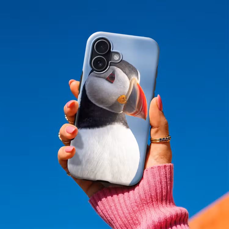 Papegaaiduiker - Portret - Natuur Toughcase MagSafe Apple iPhone 17 klein -Sfeer1V
