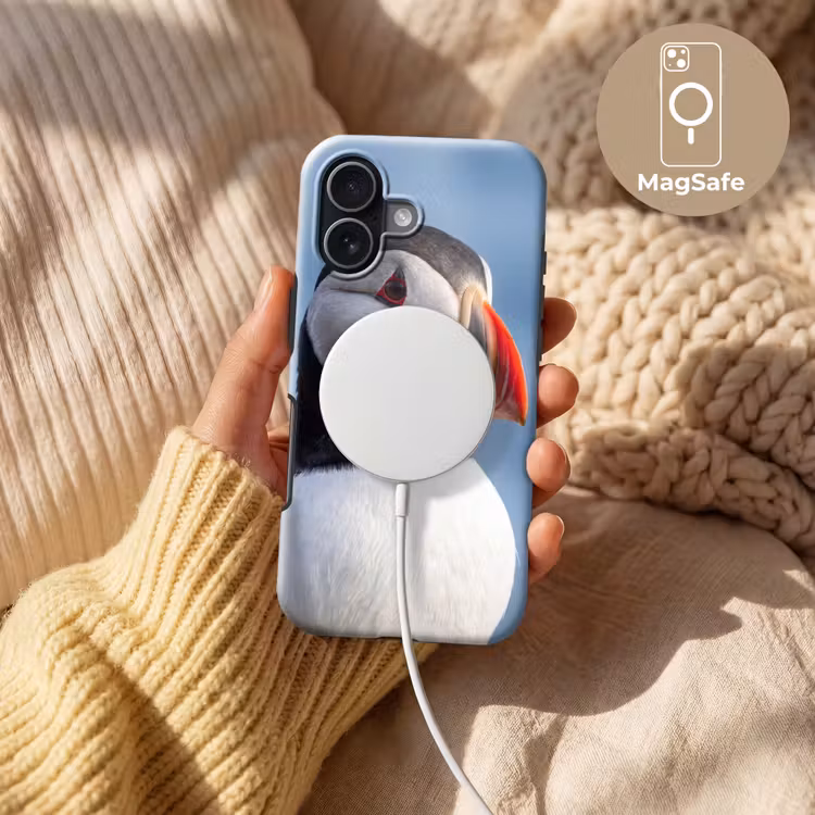Papegaaiduiker - Portret - Natuur Toughcase MagSafe Apple iPhone 17 klein -USP_MagsafeV