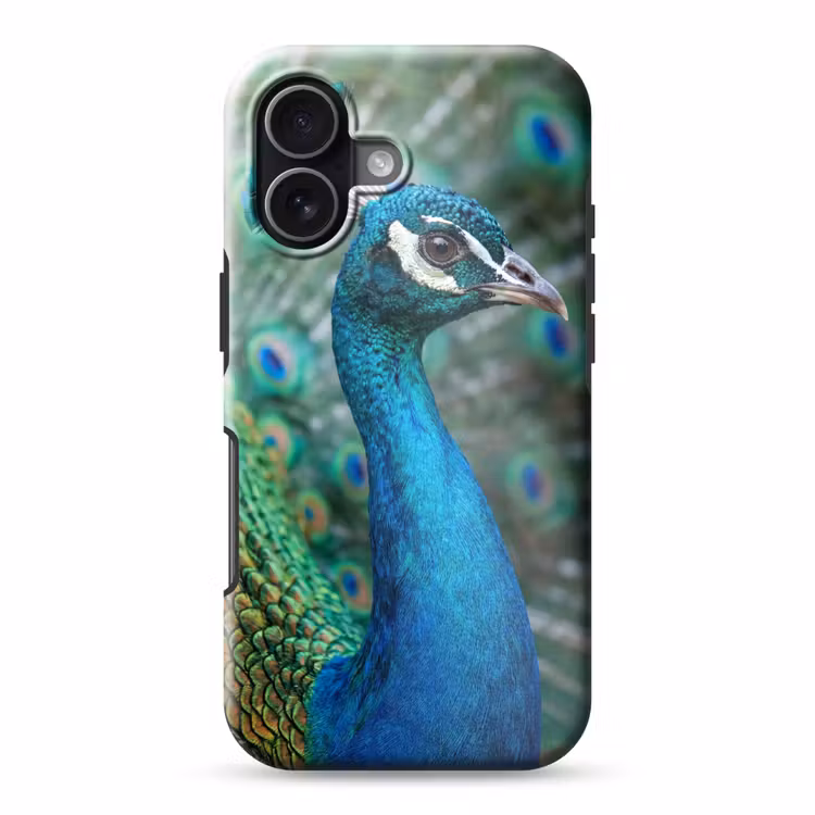 Pauw - Veren - Blauw Toughcase MagSafe Apple iPhone 17 klein -3d