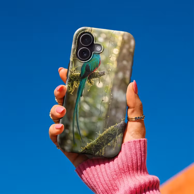 Quetzal - Jungle - Natuur - Groen Toughcase MagSafe Apple iPhone 17 klein -Sfeer1V