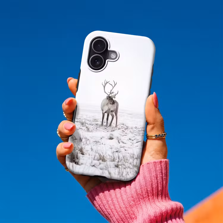 Rendier - Gewei - Sneeuw - Winter Toughcase MagSafe Apple iPhone 17 klein -Sfeer1V