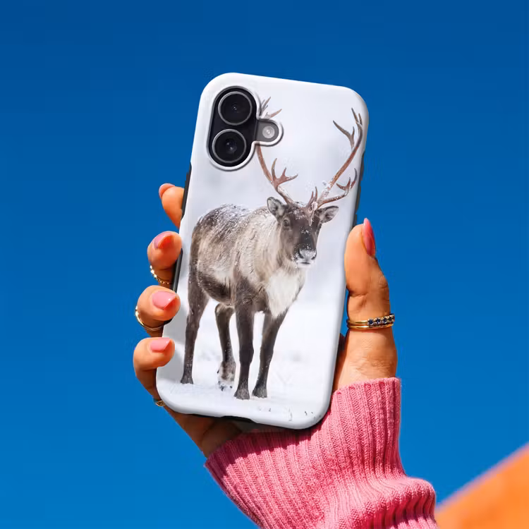 Rendier - Gewei - Toendra - Sneeuw - Wild Toughcase MagSafe Apple iPhone 17 klein -Sfeer1V