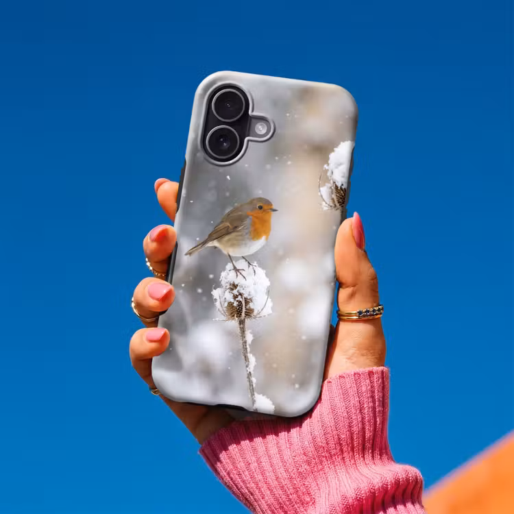 Roodborstje - Gedroogde bloem - Sneeuw - Winter - Vertederend Toughcase MagSafe Apple iPhone 17 klein -Sfeer1V