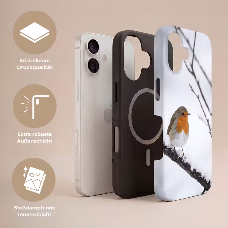 Roodborstje - Tak - Sneeuw - Winter - Levendig Toughcase MagSafe Apple iPhone 17 klein -USP_Lagen_DE