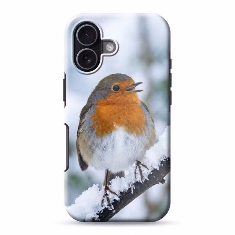 Roodborstje - Tak - Sneeuw - Winter - Levendig Toughcase MagSafe Apple iPhone 17 klein -3d