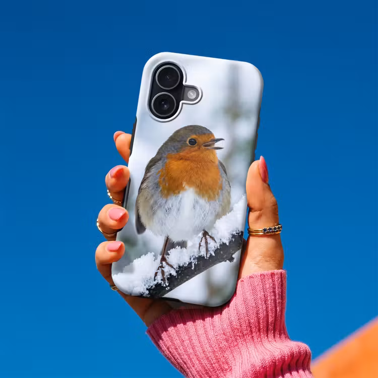 Roodborstje - Tak - Sneeuw - Winter - Levendig Toughcase MagSafe Apple iPhone 17 klein -Sfeer1V