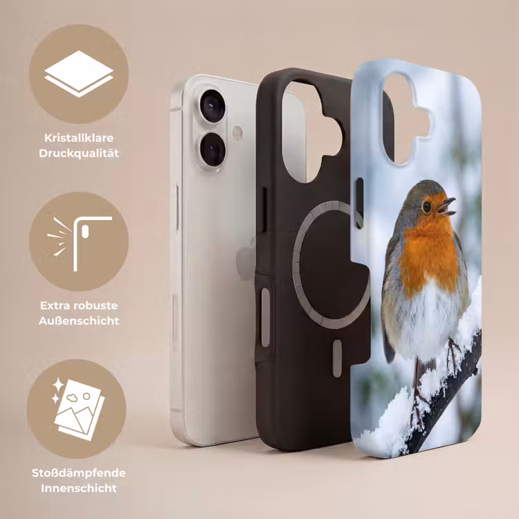 Roodborstje - Tak - Sneeuw - Winter - Levendig Toughcase MagSafe Apple iPhone 17 klein -USP_Lagen_DE