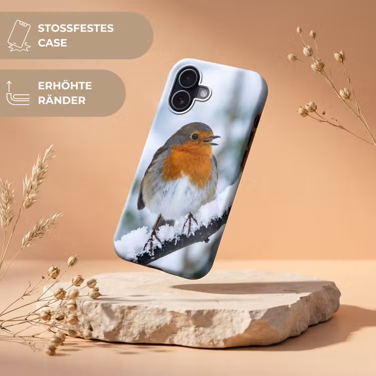 Roodborstje - Tak - Sneeuw - Winter - Levendig Toughcase MagSafe Apple iPhone 17 klein -USP_RandenV_DE