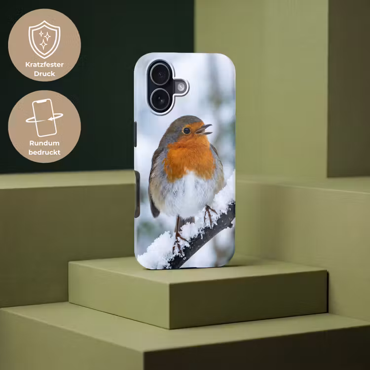 Roodborstje - Tak - Sneeuw - Winter - Levendig Toughcase MagSafe Apple iPhone 17 klein -USP_PrintM_DE