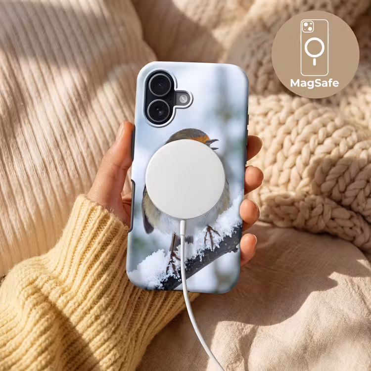 Roodborstje - Tak - Sneeuw - Winter - Levendig Toughcase MagSafe Apple iPhone 17 klein -USP_MagsafeV
