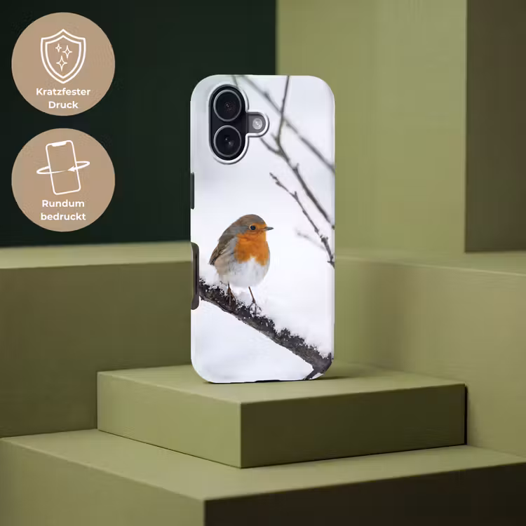 Roodborstje - Tak - Sneeuw - Winter - Levendig Toughcase MagSafe Apple iPhone 17 klein -USP_PrintM_DE