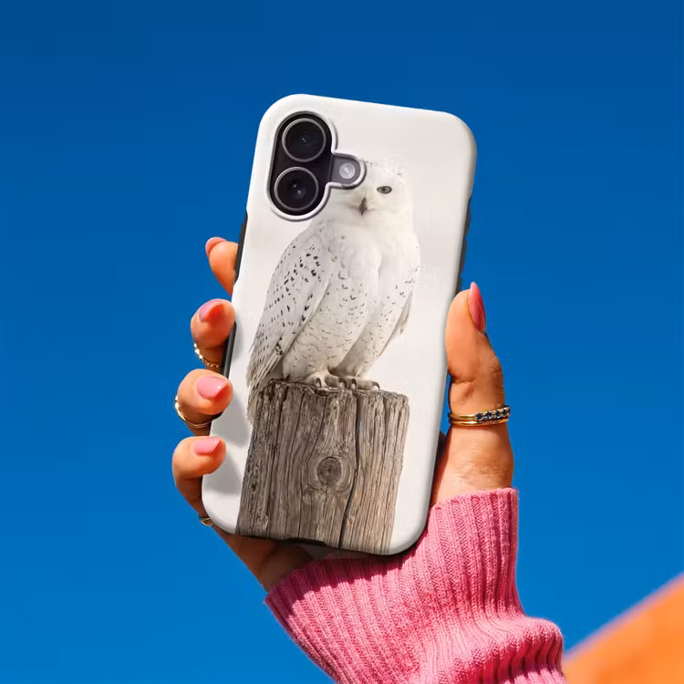 Sneeuwuil - Paal - Winter - Portret - Majestueus Toughcase MagSafe Apple iPhone 17 klein -Sfeer1V