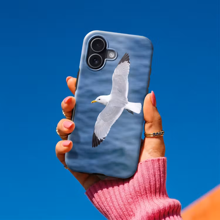 Zeemeeuw - Oceaan - Blauw Toughcase MagSafe Apple iPhone 17 klein -Sfeer1V