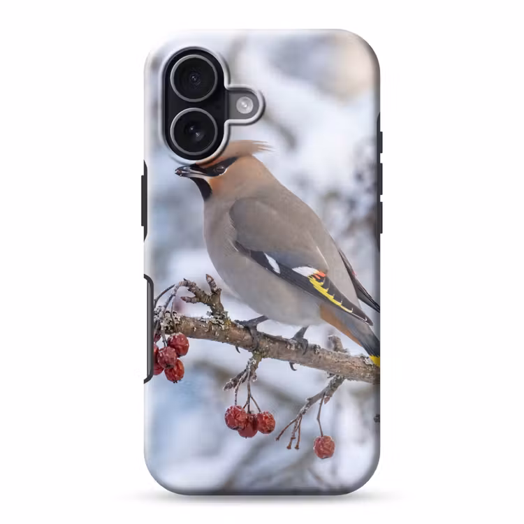 Pestvogel - Bessen - Winter - Natuur Toughcase MagSafe Apple iPhone 17 klein -3d