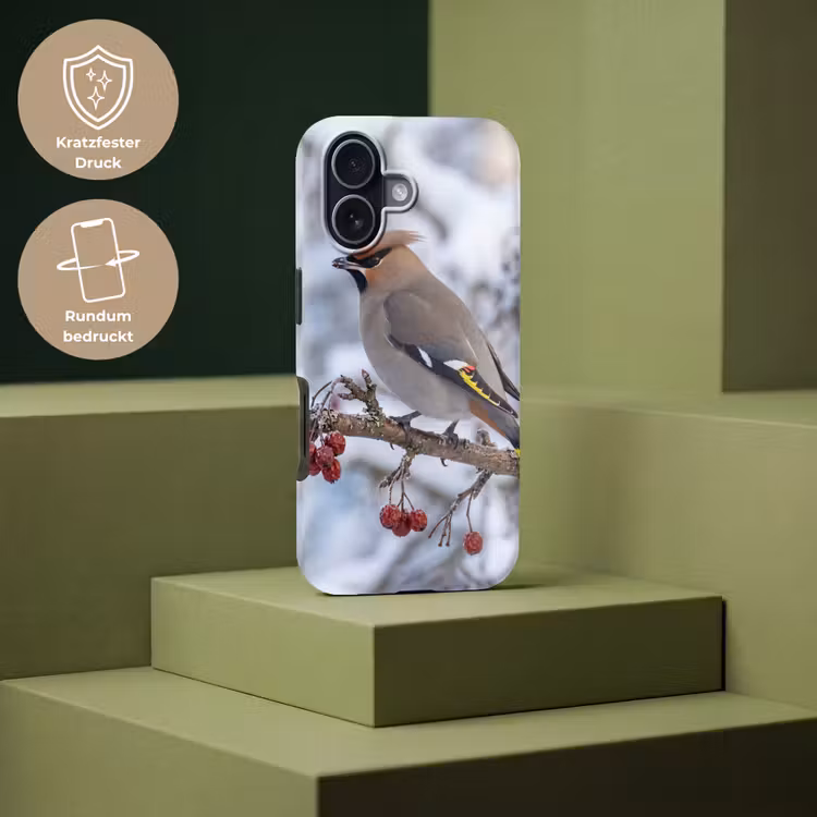 Pestvogel - Bessen - Winter - Natuur Toughcase MagSafe Apple iPhone 17 klein -USP_PrintM_DE