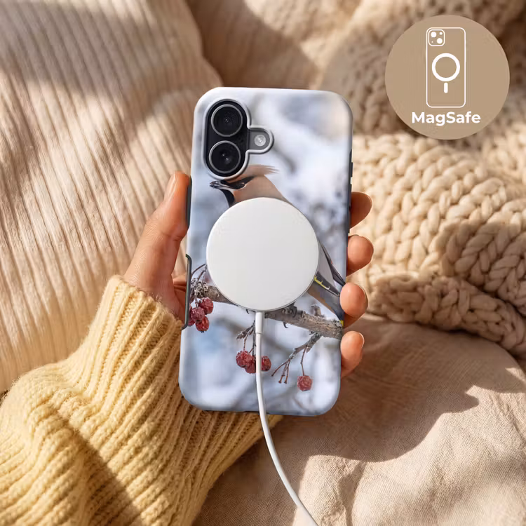 Pestvogel - Bessen - Winter - Natuur Toughcase MagSafe Apple iPhone 17 klein -USP_MagsafeV